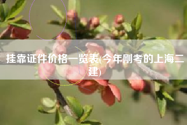 挂靠证件价格一览表(今年刚考的上海二建)