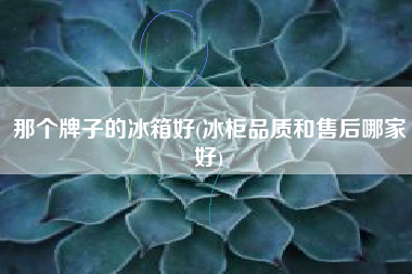 详细阅读:那个牌子的冰箱好(冰柜品质和售后哪家好) 那个牌子的冰箱好(冰柜品质和售后哪家好)