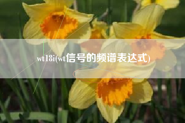 wt18i(wt信号的频谱表达式)