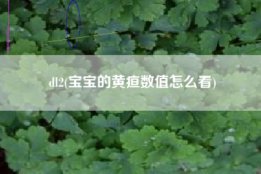 dl2(宝宝的黄疸数值怎么看)