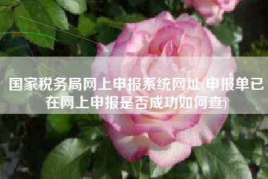 详细阅读:国家税务局网上申报系统网址(申报单已在网上申报是否成功如何查) 国家税务局网上申报系统网址(申报单已在网上申报是否成功如何查)