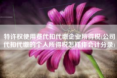 详细阅读:特许权使用费代扣代缴企业所得税(公司代扣代缴的个人所得税怎样作会计分录) 特许权使用费代扣代缴企业所得税(公司代扣代缴的个人所得税怎样作会计分录)
