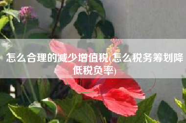 怎么合理的减少增值税(怎么税务筹划降低税负率)