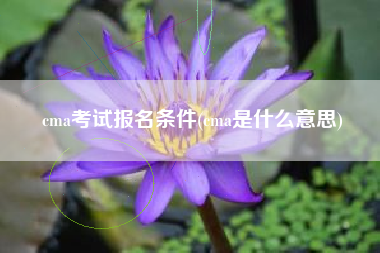 cma考试报名条件(cma是什么意思)