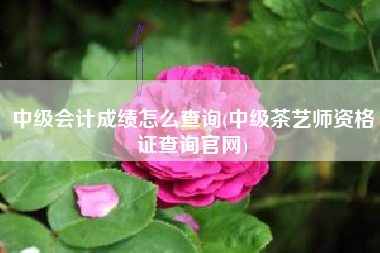 详细阅读:中级会计成绩怎么查询(中级茶艺师资格证查询官网) 中级会计成绩怎么查询(中级茶艺师资格证查询官网)
