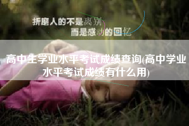 高中生学业水平考试成绩查询(高中学业水平考试成绩有什么用)