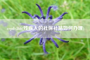 crpd-366(残疾人的社保补贴如何办理)
