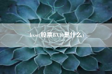 bxsc(股票BX10是什么)