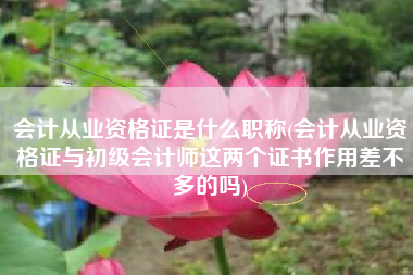 会计从业资格证是什么职称(会计从业资格证与初级会计师这两个证书作用差不多的吗)