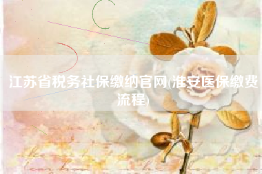 江苏省税务社保缴纳官网(淮安医保缴费流程)