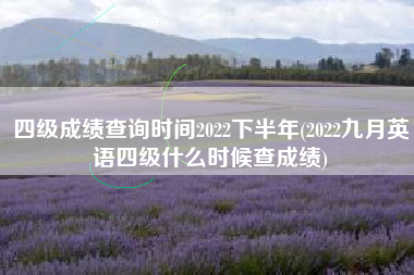 四级成绩查询时间2022下半年(2022九月英语四级什么时候查成绩)