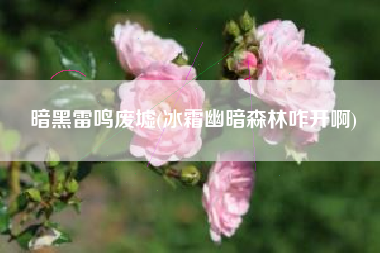 详细阅读:暗黑雷鸣废墟(冰霜幽暗森林咋开啊) 暗黑雷鸣废墟(冰霜幽暗森林咋开啊)