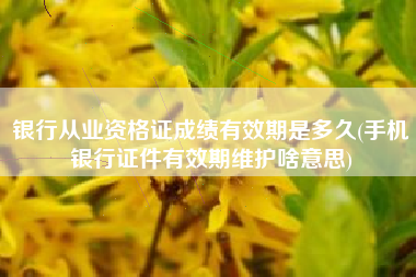 银行从业资格证成绩有效期是多久(手机银行证件有效期维护啥意思)