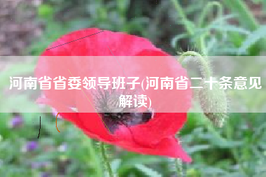 河南省省委领导班子(河南省二十条意见解读)