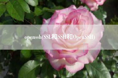 openssh(SSL和SSH和OpenSSH)