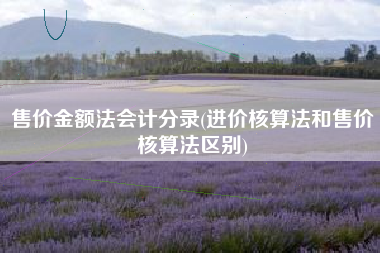 售价金额法会计分录(进价核算法和售价核算法区别)