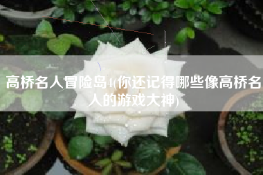 高桥名人冒险岛4(你还记得哪些像高桥名人的游戏大神)