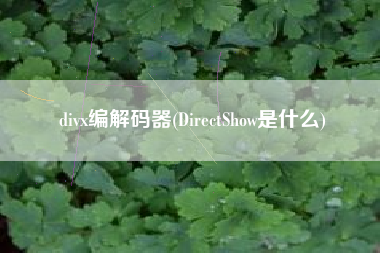 divx编解码器(DirectShow是什么)