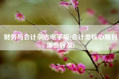 财务与会计杂志电子版(会计类核心期刊哪些好发)