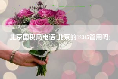 北京国税局电话(北京的12345管用吗)