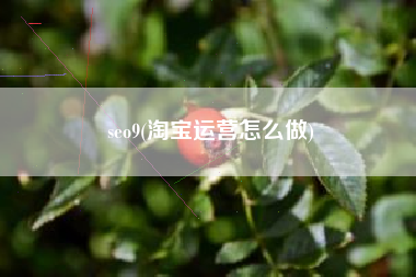 seo9(淘宝运营怎么做)