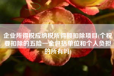 企业所得税应纳税所得额扣除项目(个税要扣除的五险一金包括单位和个人负担的所有吗)