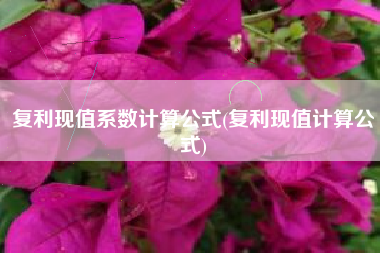 复利现值系数计算公式(复利现值计算公式)
