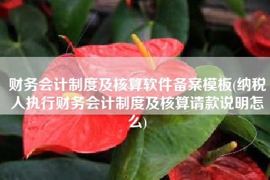 财务会计制度及核算软件备案模板(纳税人执行财务会计制度及核算请款说明怎么)