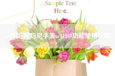 ar功能(阿玛尼手表ar11238功能使用说明)