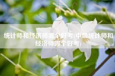 统计师和经济师哪个好考(中级统计师和经济师哪个好考)