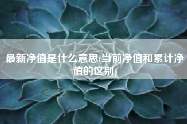 最新净值是什么意思(当前净值和累计净值的区别)
