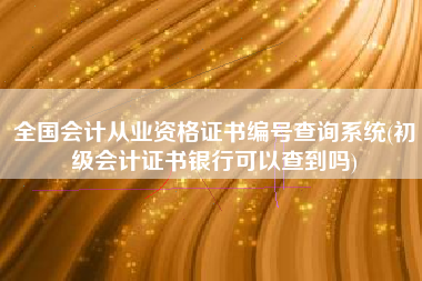 全国会计从业资格证书编号查询系统(初级会计证书银行可以查到吗)