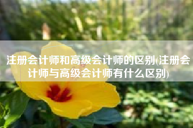 注册会计师和高级会计师的区别(注册会计师与高级会计师有什么区别)