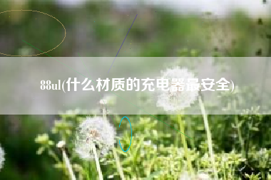 88ul(什么材质的充电器最安全)