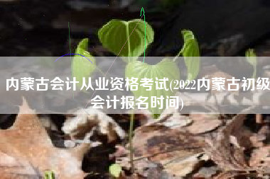 内蒙古会计从业资格考试(2022内蒙古初级会计报名时间)