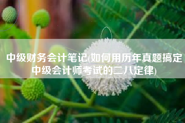 中级财务会计笔记(如何用历年真题搞定中级会计师考试的二八定律)