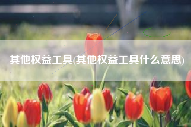 详细阅读:其他权益工具(其他权益工具什么意思) 其他权益工具(其他权益工具什么意思)