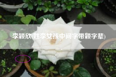 李颖欣(姓李女孩中间字带颖字辈)