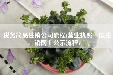 税务简易注销公司流程(营业执照一般注销网上公示流程)