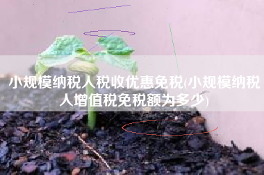 详细阅读:小规模纳税人税收优惠免税(小规模纳税人增值税免税额为多少) 小规模纳税人税收优惠免税(小规模纳税人增值税免税额为多少)