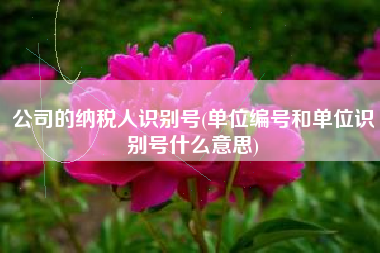 详细阅读:公司的纳税人识别号(单位编号和单位识别号什么意思) 公司的纳税人识别号(单位编号和单位识别号什么意思)