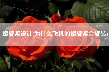 螺旋桨设计(为什么飞机的螺旋桨会旋转)