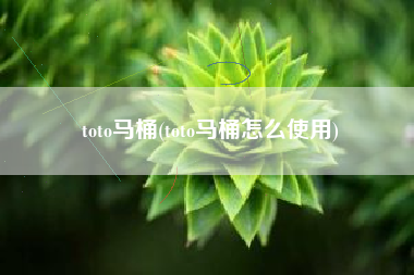 toto马桶(toto马桶怎么使用)
