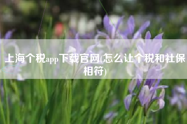 上海个税app下载官网(怎么让个税和社保相符)