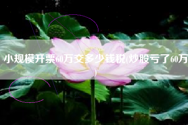 小规模开票60万交多少钱税(炒股亏了60万)