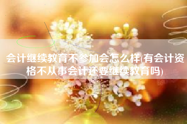 会计继续教育不参加会怎么样(有会计资格不从事会计还要继续教育吗)