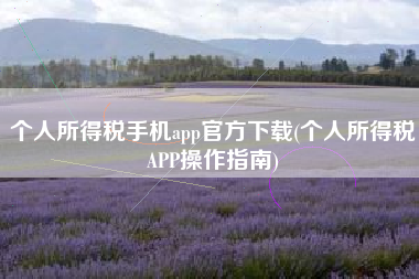 个人所得税手机app官方下载(个人所得税APP操作指南)