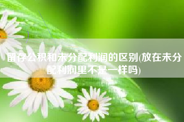 留存公积和未分配利润的区别(放在未分配利润里不是一样吗)