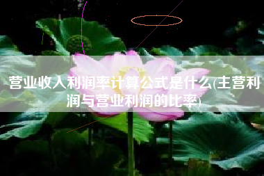 营业收入利润率计算公式是什么(主营利润与营业利润的比率)