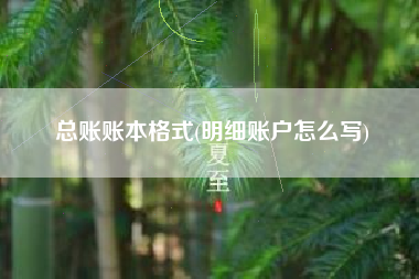 总账账本格式(明细账户怎么写)